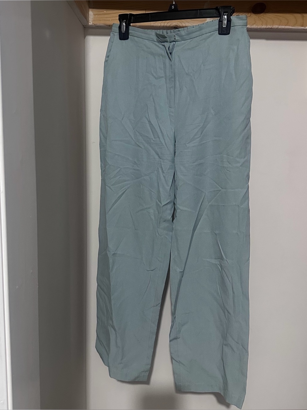 Eileen Fisher pants light blue women's petite small